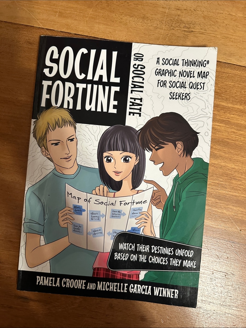 Social Fortune, Or Social Fate: A Social Thinking© Graphic Novel Map book